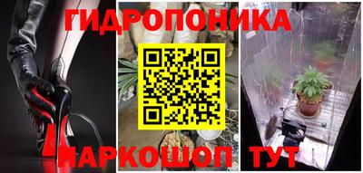 хмурый Малоярославец